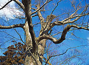 3DM速报：《暗黑4》《守望2》延期 Switch破解组织认罪