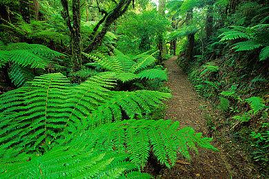 《死亡岛2》已加入XGP 仅支持主机和云游戏